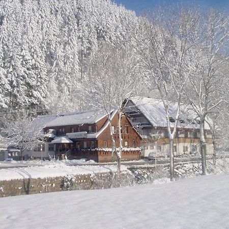 Готель Gruener Hof Целль-ам-Гармерсбах Екстер'єр фото