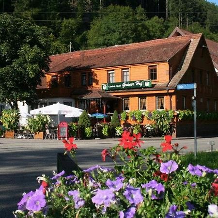 Готель Gruener Hof Целль-ам-Гармерсбах Екстер'єр фото