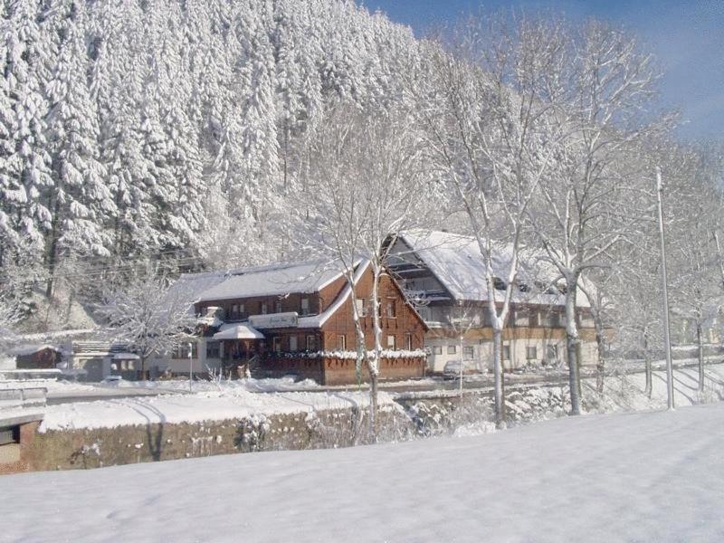 Готель Gruener Hof Целль-ам-Гармерсбах Екстер'єр фото
