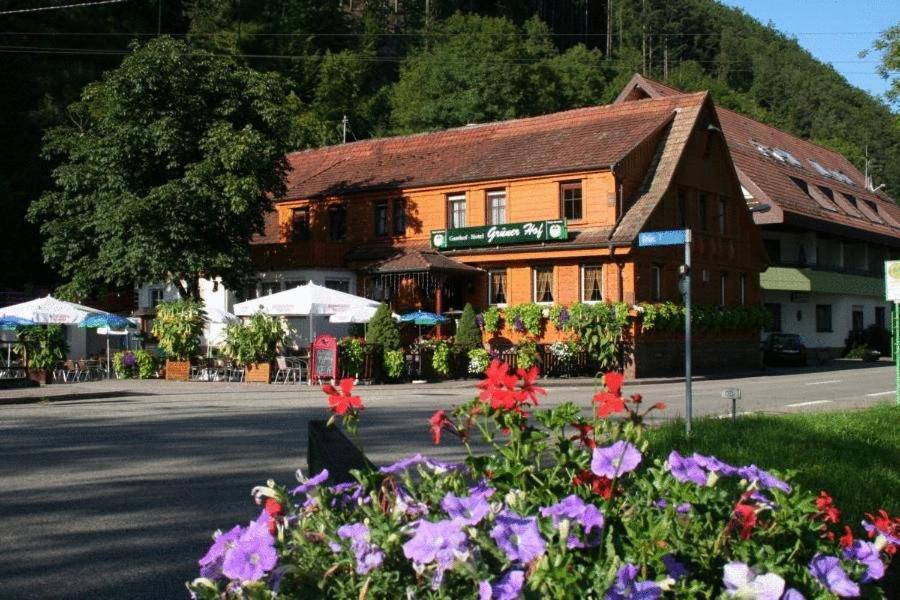 Готель Gruener Hof Целль-ам-Гармерсбах Екстер'єр фото
